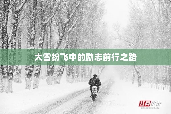 大雪纷飞中的励志前行之路
