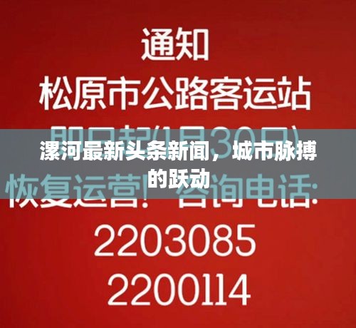 漯河最新头条新闻，城市脉搏的跃动
