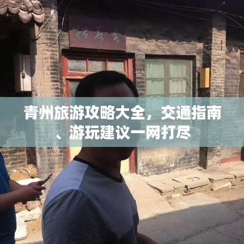 不飞则已 第2页