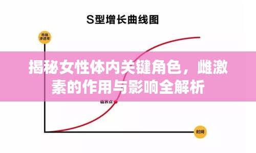 揭秘女性体内关键角色，雌激素的作用与影响全解析
