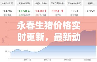 永春生猪价格实时更新，最新动态一览
