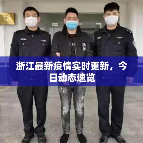 浙江最新疫情实时更新，今日动态速览