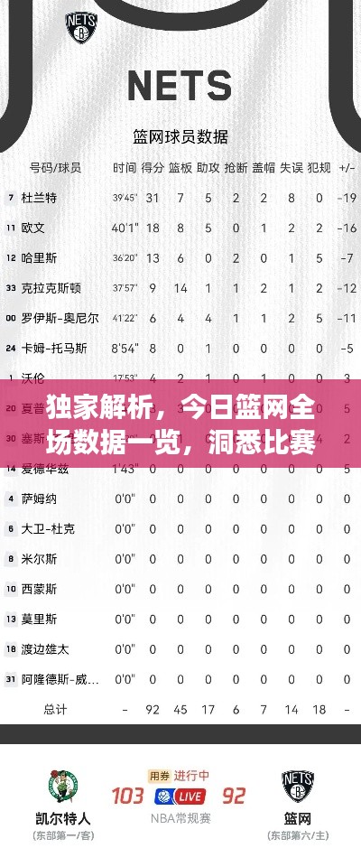 独家解析，今日篮网全场数据一览，洞悉比赛细节！