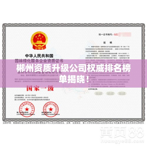 郴州资质升级公司权威排名榜单揭晓！