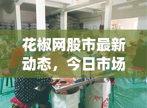 花椒网股市最新动态，今日市场走势一网打尽