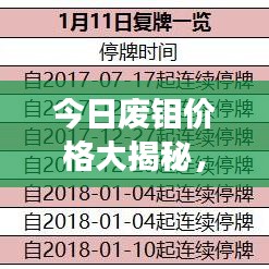 张灯挂彩 第2页