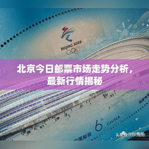 北京今日邮票市场走势分析，最新行情揭秘