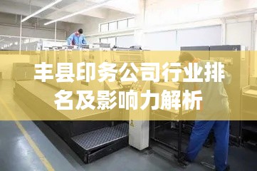 丰县印务公司行业排名及影响力解析