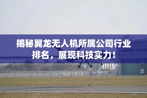 揭秘翼龙无人机所属公司行业排名，展现科技实力！