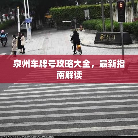 泉州车牌号攻略大全，最新指南解读