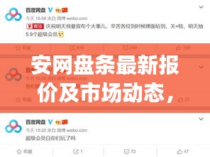 安网盘条最新报价及市场动态，市场走势分析与购买建议