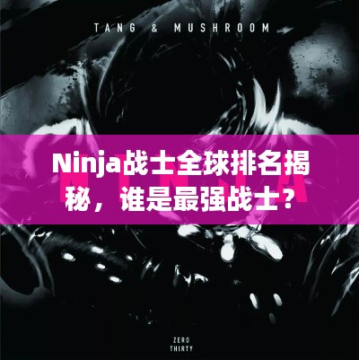 Ninja战士全球排名揭秘，谁是最强战士？