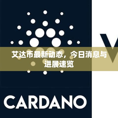 艾达币最新动态，今日消息与进展速览