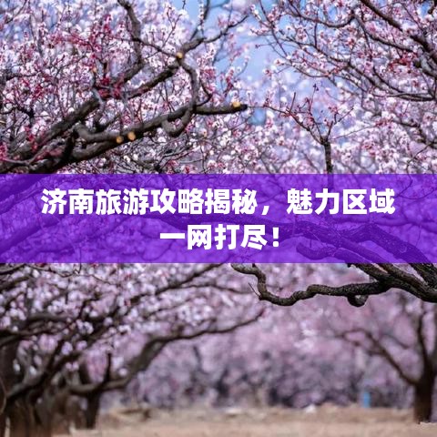 济南旅游攻略揭秘，魅力区域一网打尽！
