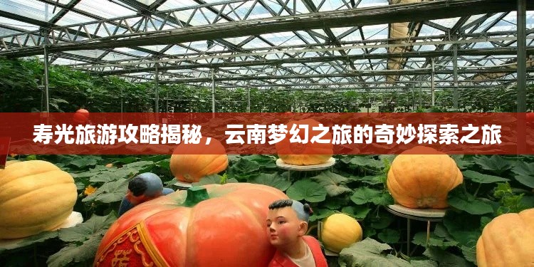 雅人清致 第2页