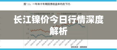 长江镍价今日行情深度解析