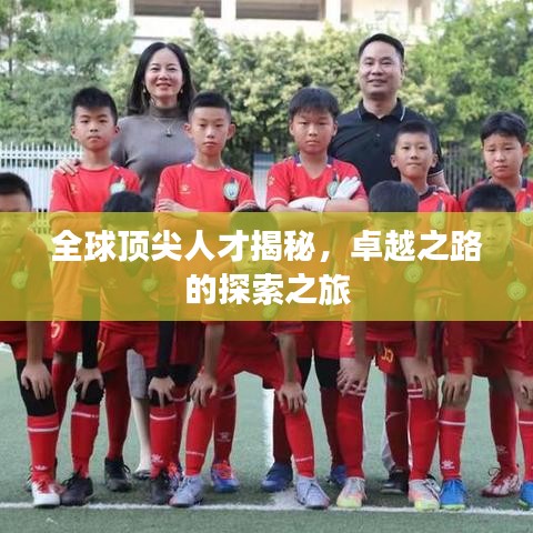 全球顶尖人才揭秘，卓越之路的探索之旅