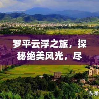 罗平云浮之旅，探秘绝美风光，尽享梦幻旅游攻略！