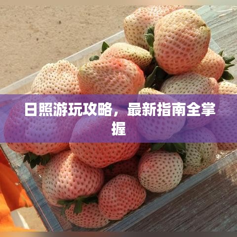 丰容盛鬋 第2页