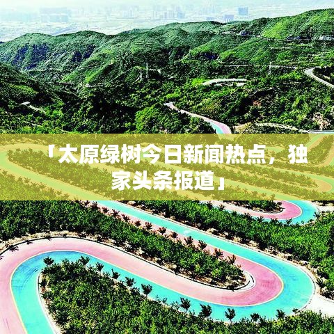 「太原绿树今日新闻热点，独家头条报道」
