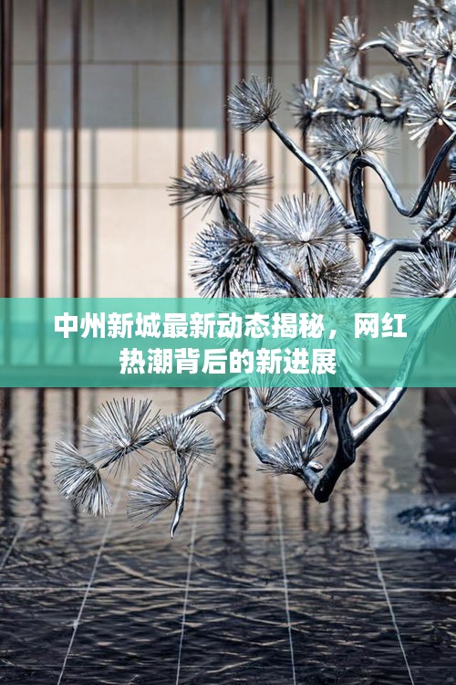 中州新城最新动态揭秘，网红热潮背后的新进展