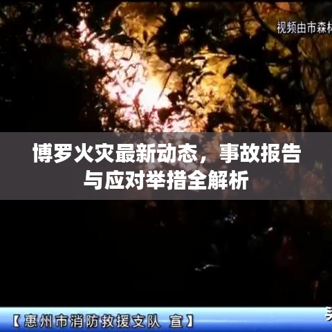 博罗火灾最新动态，事故报告与应对举措全解析