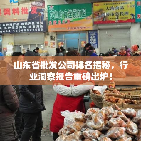 山东省批发公司排名揭秘，行业洞察报告重磅出炉！