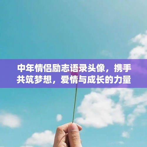 中年情侣励志语录头像，携手共筑梦想，爱情与成长的力量