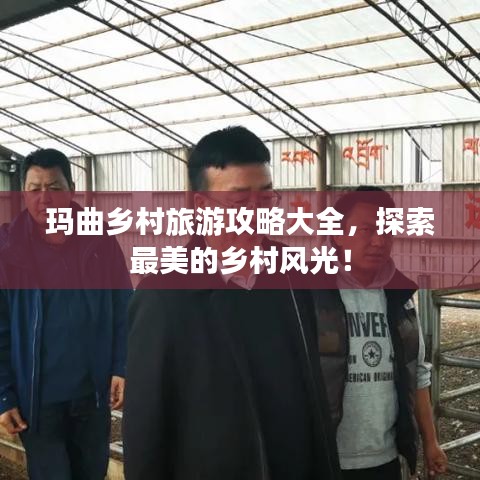 玛曲乡村旅游攻略大全，探索最美的乡村风光！