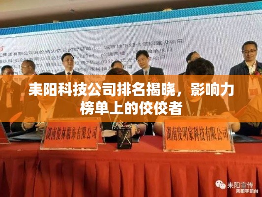 耒阳科技公司排名揭晓，影响力榜单上的佼佼者