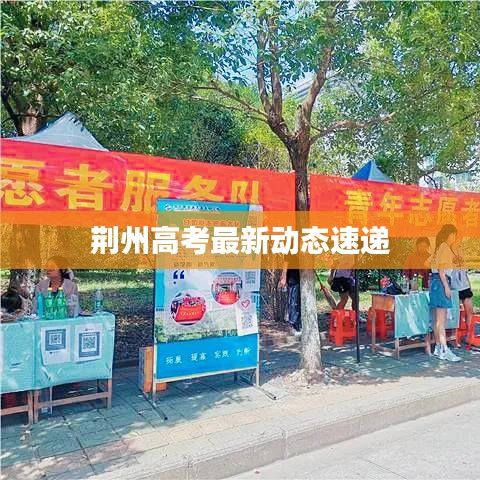 荆州高考最新动态速递