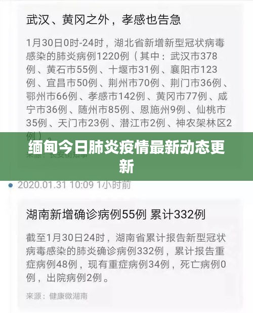 缅甸今日肺炎疫情最新动态更新