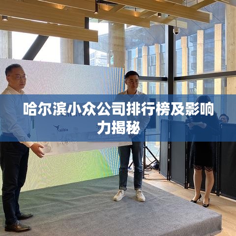 哈尔滨小众公司排行榜及影响力揭秘
