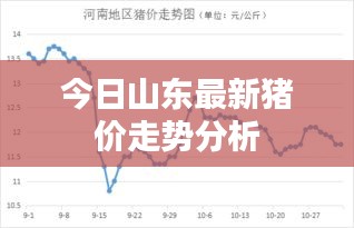 今日山东最新猪价走势分析