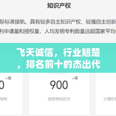飞天诚信，行业翘楚，排名前十的杰出代表