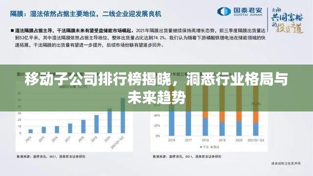移动子公司排行榜揭晓，洞悉行业格局与未来趋势
