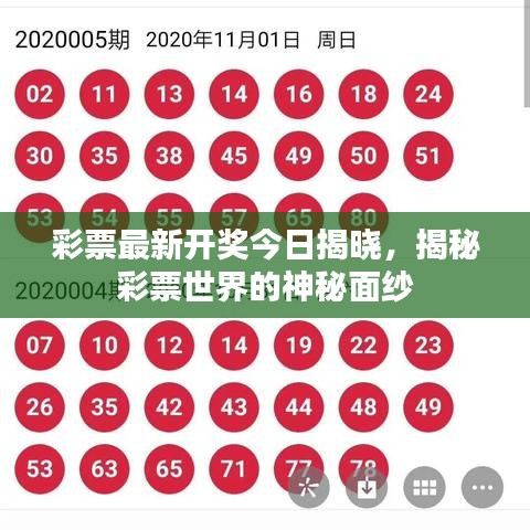高谈阔论 第2页