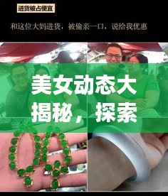 美女动态大揭秘，探索与欣赏之旅