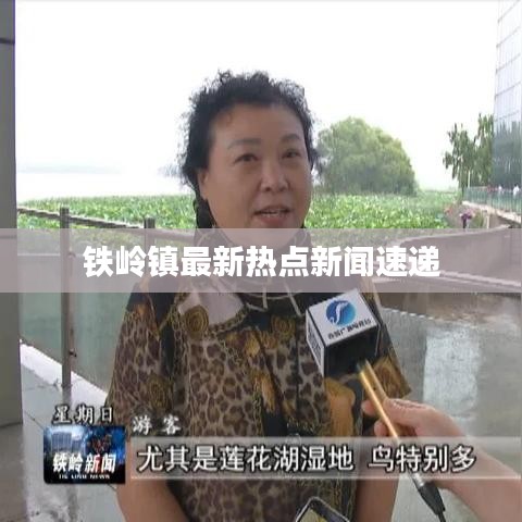 铁岭镇最新热点新闻速递