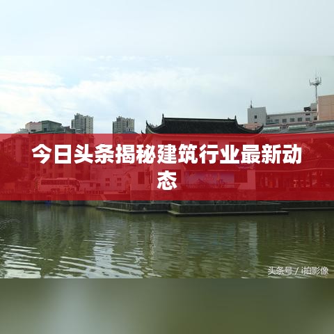 今日头条揭秘建筑行业最新动态