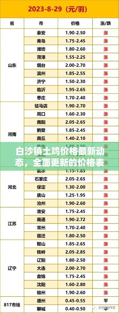 白沙镇土鸡价格最新动态，全面更新的价格表