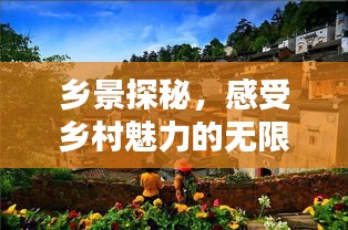 乡景探秘，感受乡村魅力的无限可能