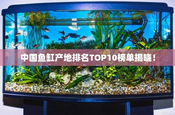 中国鱼缸产地排名TOP10榜单揭晓！