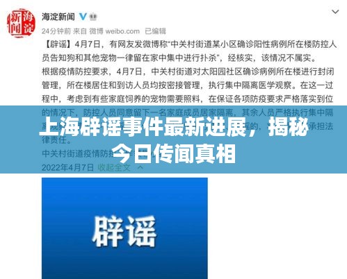上海辟谣事件最新进展，揭秘今日传闻真相