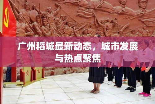 广州稻城最新动态，城市发展与热点聚焦