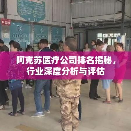 阿克苏医疗公司排名揭秘，行业深度分析与评估