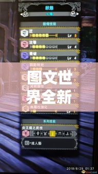 图文世界全新攻略，探索未知，解锁极致体验