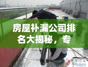 房屋补漏公司排名大揭秘，专业、信誉与质量的综合考量