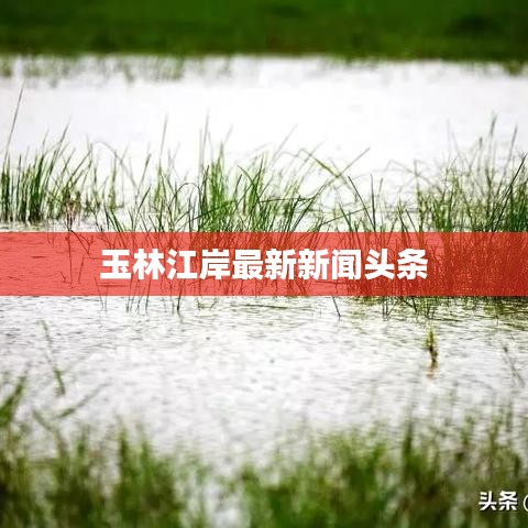 玉林江岸最新新闻头条