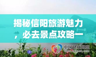 揭秘信阳旅游魅力，必去景点攻略一网打尽